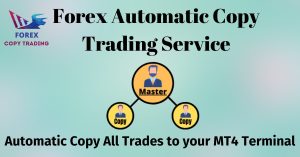 pro mentor copy trading